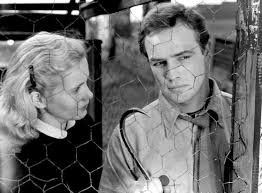 Nido de ratas ( 1954) Elia Kazan